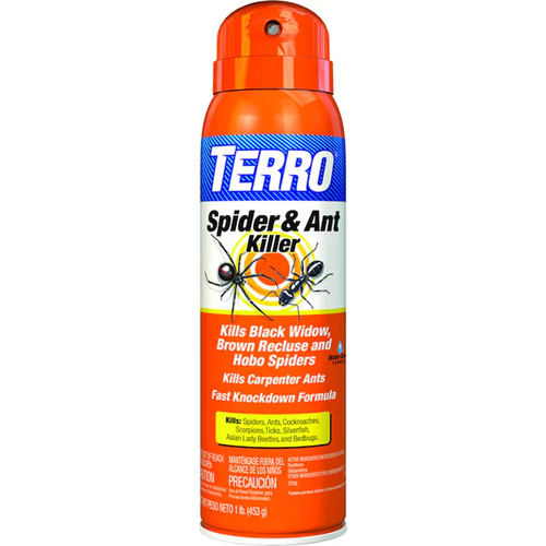 Terro spider and ant - ready, to